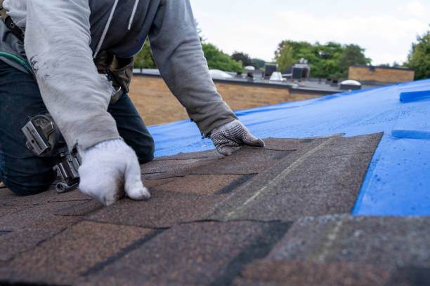 Quick and Trustworthy Emergency Roof Repair Services in Saegertown, PA